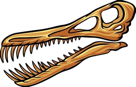 Premium Vector Pterosaur Dinosaur Skull Fossil