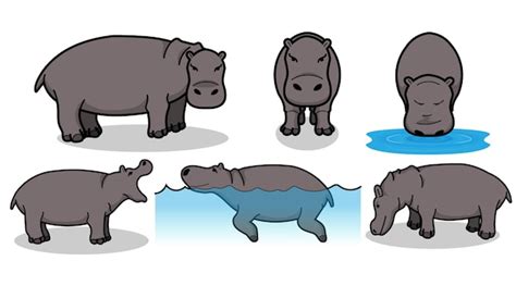 Premium Vector Hippo Set Vector Illustration