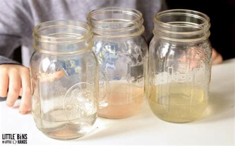 Solubility Experiment For Kids