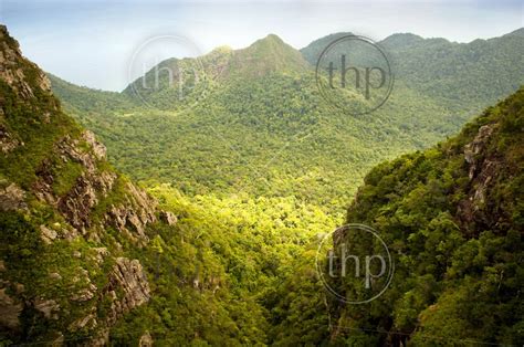 Spectacular Green Jungle Landscape With Valley And Mountain Range