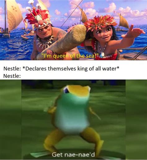 Get Nae-Nae'd Moana : r/memes