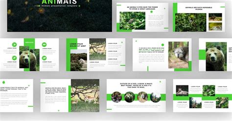 Animais - Animals Google Slides Template, Presentation Templates ...