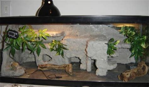 How to Setup a Leopard Gecko Enclosure | HubPages