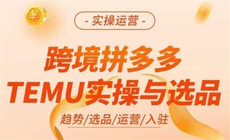 跨境拼多多temu实操与选品， 掌握平台运营方法技巧，选品避坑12条标准，爆款的底层思路等 Vpsche小车博客