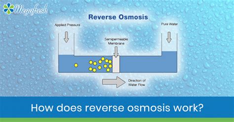 How does reverse osmosis works? - MegaFresh | Water Filters