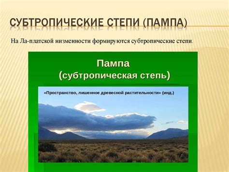 Разнообразие природы Южной Америки - презентация онлайн