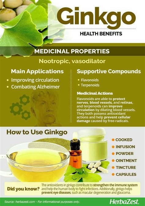 Ginkgo Health Benefits With Images Food Health Benefits Health