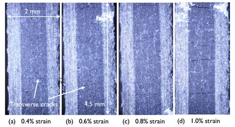 Examples Of Different Transverse Crack Densities Download Scientific Diagram