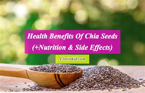 Health Benefits Of Chia Seedsnutrition And Side Effects