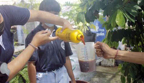 Peranan Em Strategisterhadap Pengembangan Pertanian Organik Pak Oles