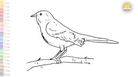 Mockingbird Drawing Easy How To Draw A Mockingbird Step By Step