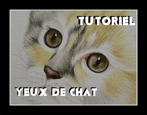 Tuto Apprendre Dessiner Des Yeux De Chat En Moins De Min