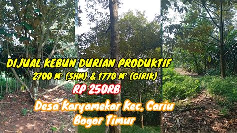 Dijual Kebun Durian Produktif Rp Rb Desa Karyamekar Kec Cariu