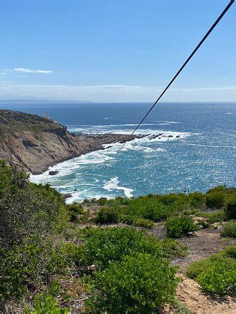 Mossel Bay Zipline Sa Forest Adventures All You Need To Know Before