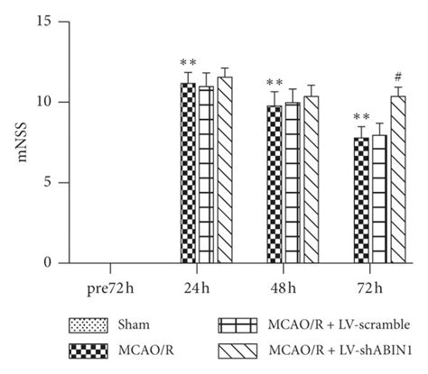 ABIN1 knockdown exacerbates the neurological deficits and enlarges the ... 