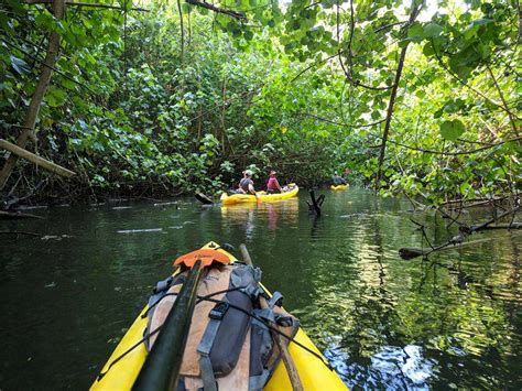 Kayaking Adventures On The Wailua River In Kauai 2025