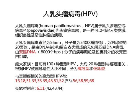 人乳头瘤病毒荧光定量pcr法检测 Word文档在线阅读与下载 免费文档