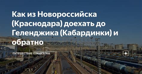 Как из Новороссийска (Краснодара) доехать до Геленджика (Кабардинки) и ...