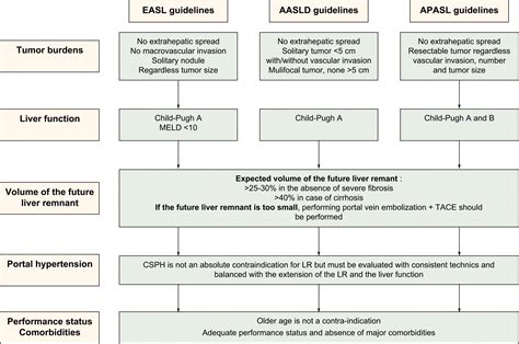 Liver Surgery Important Considerations For Pre And Postoperative