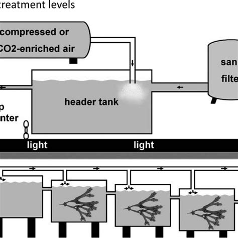 Schematic Illustration Of The Laboratory Set Up The Graphic Shows One Download Scientific