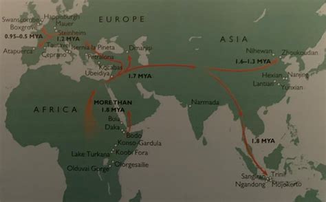 Early Hominin Migration : r/MapPorn