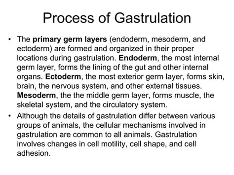 Gastrulation In Frog Ppt