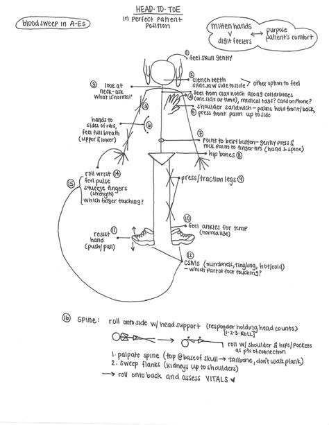 Examination Head To Toe Assessment