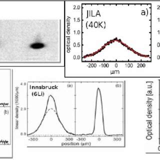 Color online Gallery of molecular BEC experiments. Bimodal spatial ...