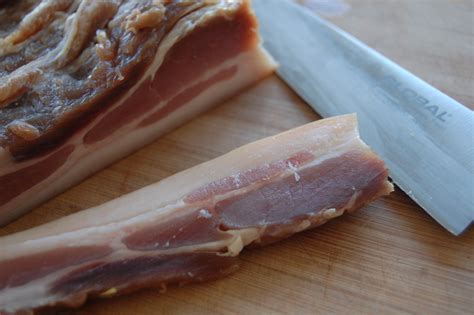 Curing Bacon Recipe Besto Blog