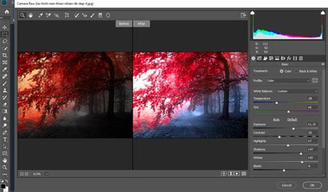 What Is Adobe Camera Raw Locedvendor