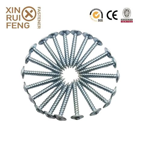 China Phillip Drive Zinc Coating Truss Head Self Tapping Screw Factory