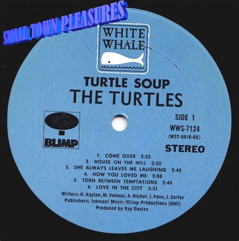 Oobadiooba The Turtles Turtle Soup