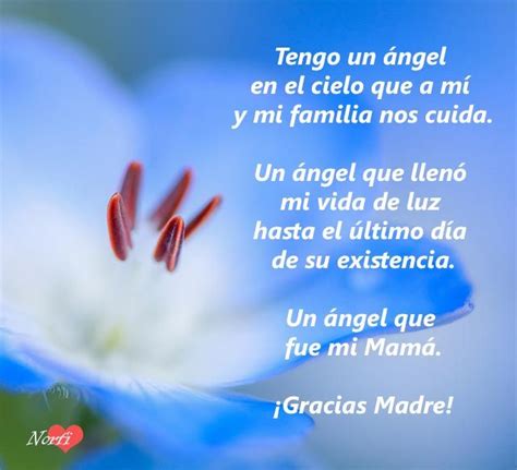 El Amor De Mi Madre Poema Para Agradecer Su Inmenso Amor Feliz