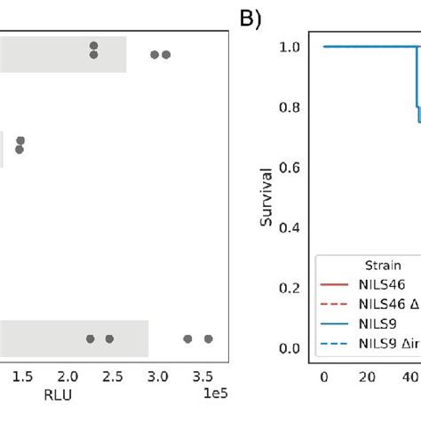 phenotypic consequences  hpi deletion  deletion  hpi leads