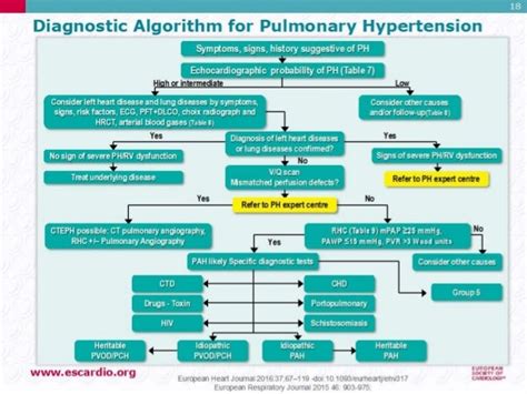 Pulmonary Hypertension Guidelines 2015