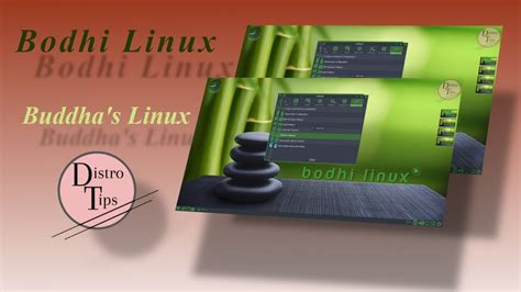 Bodhi Linux Bodhi Linux Bodhi Linux Review Buddha S Linux Youtube