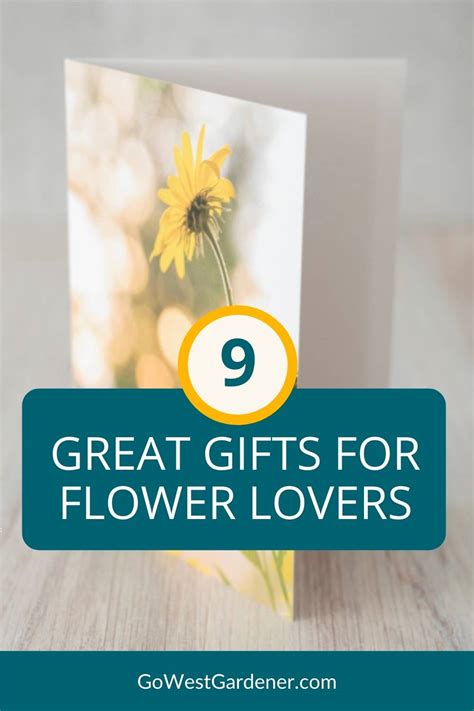 T Ideas For Flower Lovers 9 Ts Perfect For Beginner Gardeners