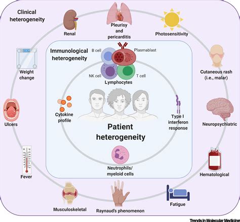 Leveraging Heterogeneity In Systemic Lupus Erythematosus For New