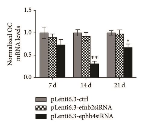 Disturbed Expression Of Ephb4 But Not Ephrinb2 Significantly Download Scientific Diagram