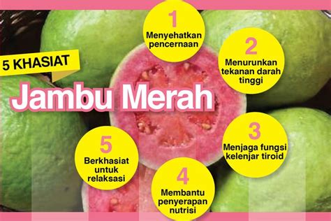 Manfaat Jus Jambu Biji Merah Homecare