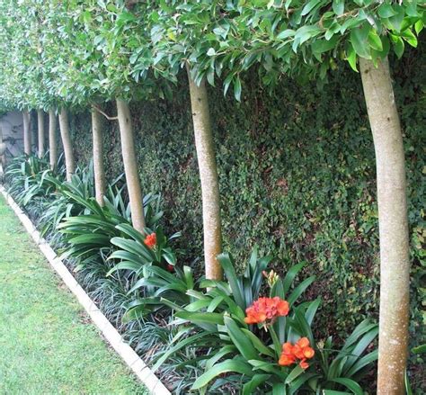 Simple Backyard Landscaping Fence Ideas To Beautify Your Outdoor Space