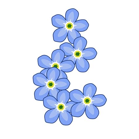 Forget Me Nots Png