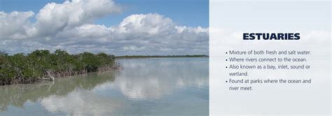 Estuaries - Oceans, Coasts & Seashores (U.S. National Park Service)