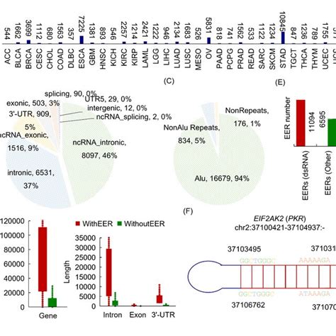 The Effect Of RNA Editing On Interferon Response A Differential