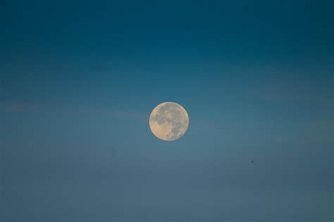 Morning Moon Hd Wallpapers