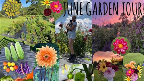 June Garden Tour Zone North Alabama Youtube