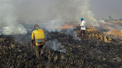 Farmers Are Being Made Villains Sc Raps Punjab Delhi Over Stubble