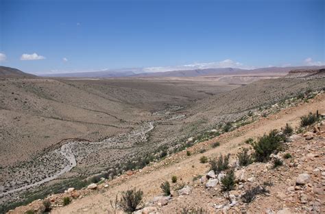 Ecosistema Terrestre Matorral Bajo Desértico Tropical Andino De