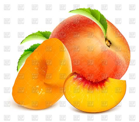 Collection Of Ripe Clipart Free Download Best Ripe Clipart On