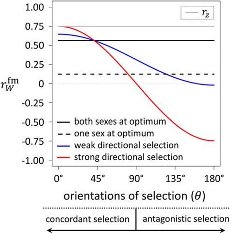 Impact Of Sex Specific Directional Selection On The Crosssex Genetic